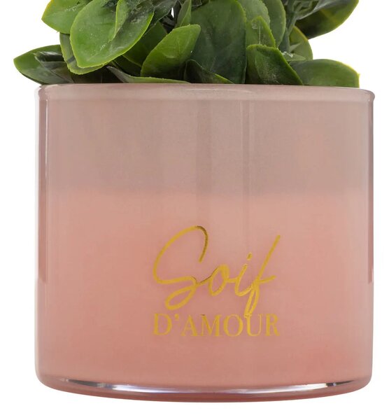 Изкуствено растение atmosphera Tayli Succulent, 18 cm, Различни видове