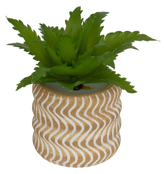 Изкуствено растение atmosphera Ubi Succulent, 7 cm, Различни видове
