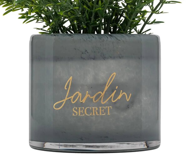Изкуствено растение atmosphera Tayli Succulent, 18 cm, Различни видове