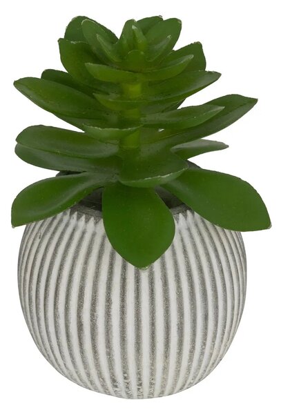 Изкуствено растение atmosphera Ubi Succulent, 7 cm, Различни видове
