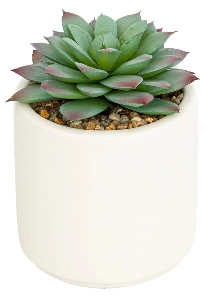 Изкуствено растение atmosphera Nils, 12 cm, Различни видове