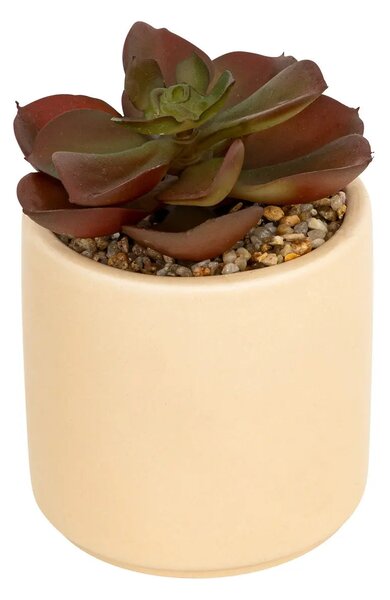Изкуствено растение atmosphera Nils, 12 cm, Различни видове
