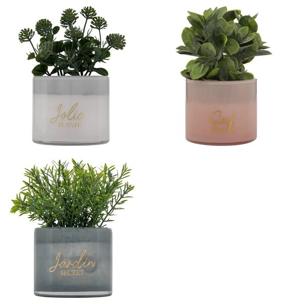 Изкуствено растение atmosphera Tayli Succulent, 18 cm, Различни видове