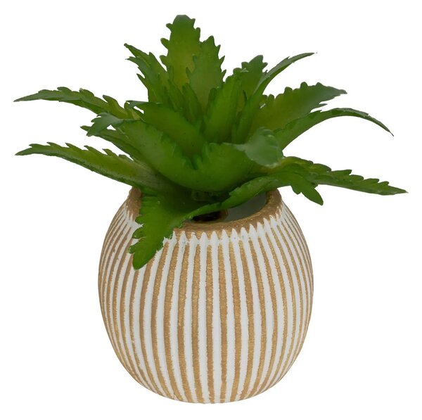 Изкуствено растение atmosphera Ubi Succulent, 7 cm, Различни видове