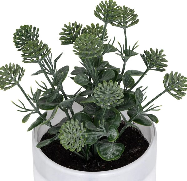 Изкуствено растение atmosphera Tayli Succulent, 18 cm, Различни видове