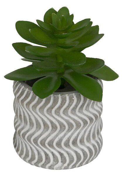 Изкуствено растение atmosphera Ubi Succulent, 7 cm, Различни видове