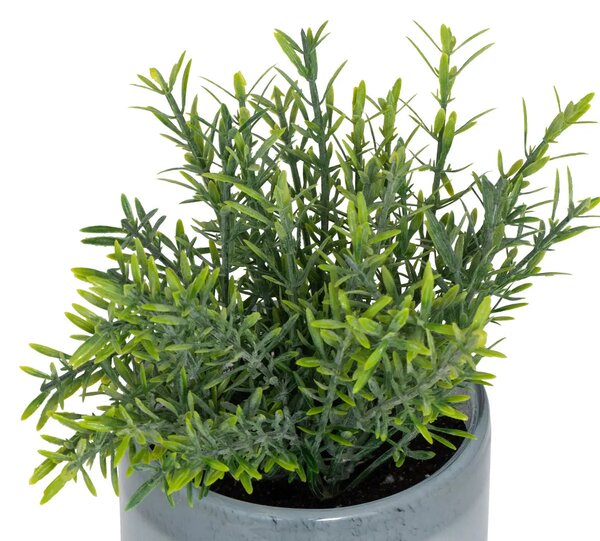 Изкуствено растение atmosphera Tayli Succulent, 18 cm, Различни видове