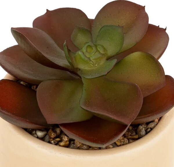 Изкуствено растение atmosphera Nils, 12 cm, Различни видове