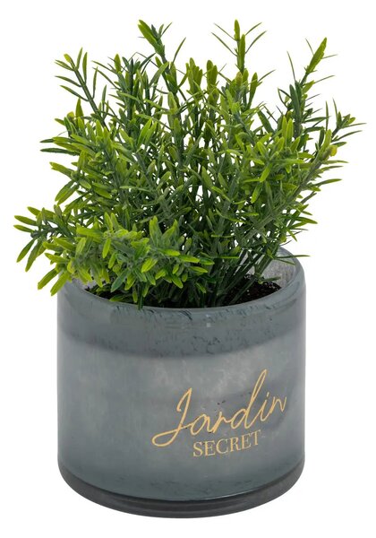 Изкуствено растение atmosphera Tayli Succulent, 18 cm, Различни видове