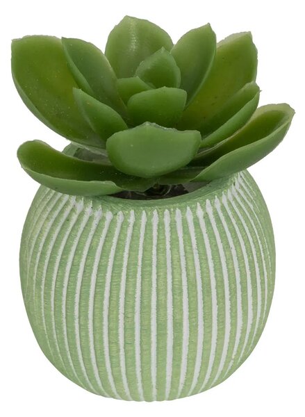 Изкуствено растение atmosphera Ubi Succulent, 7 cm, Различни видове