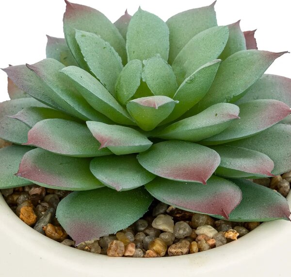 Изкуствено растение atmosphera Nils, 12 cm, Различни видове
