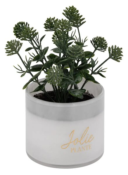 Изкуствено растение atmosphera Tayli Succulent, 18 cm, Различни видове