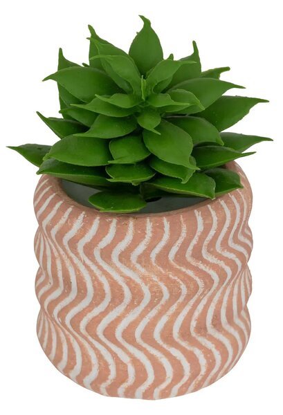 Изкуствено растение atmosphera Ubi Succulent, 7 cm, Различни видове
