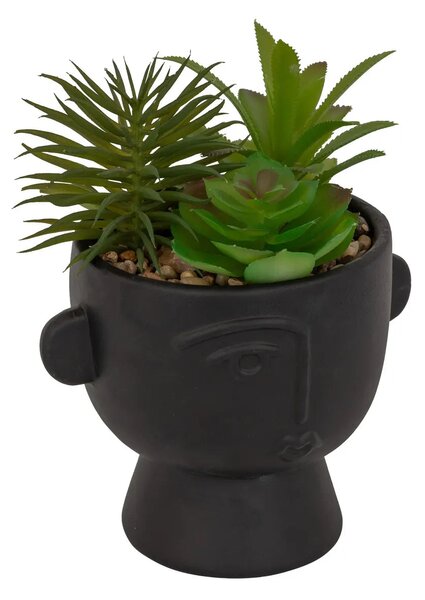 Изкуствено растение atmosphera Dusty Succulent, 22 cm, Различни видове