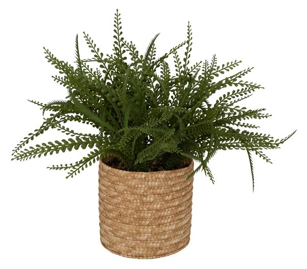 Изкуствено растение atmosphera Clemy Fern, 30 cm