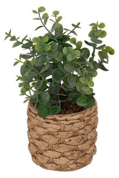 Изкуствено растение atmosphera Jaye Eucalyptus, 27 cm