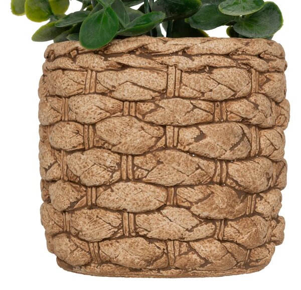 Изкуствено растение atmosphera Jaye Eucalyptus, 27 cm