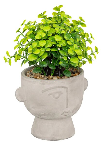 Изкуствено растение atmosphera Dusty Succulent, 22 cm, Различни видове