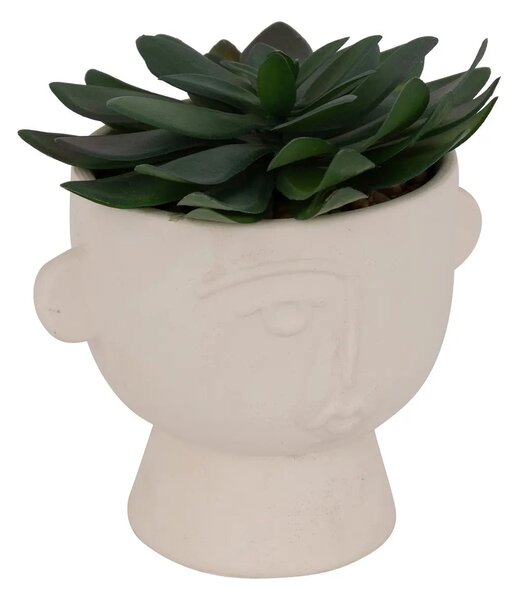 Изкуствено растение atmosphera Dusty Succulent, 22 cm, Различни видове
