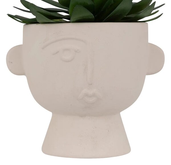 Изкуствено растение atmosphera Dusty Succulent, 22 cm, Различни видове
