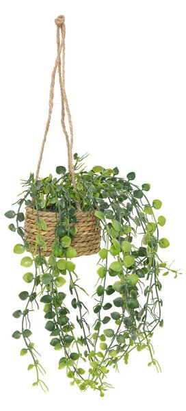 Изкуствено растение atmosphera Patri Hanging, 50 cm, Различни видове