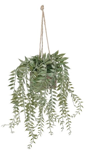 Изкуствено растение atmosphera Patri Hanging, 50 cm, Различни видове