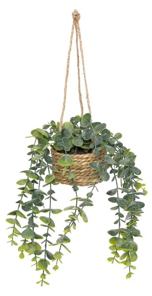 Изкуствено растение atmosphera Patri Hanging, 50 cm, Различни видове