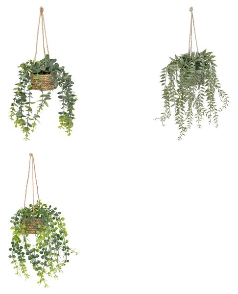 Изкуствено растение atmosphera Patri Hanging, 50 cm, Различни видове