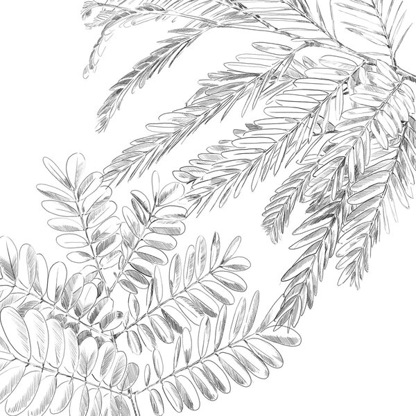 Спално бельо atmosphera Monstera, 240x220 cm, Памук