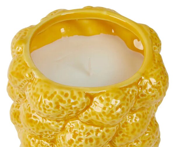 Ароматна свещ atmosphera Yucatan, Citrus, Ceramic, 330 g