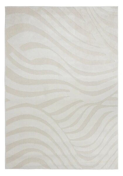 Килим atmosphera Anoai - 100x150 cm
