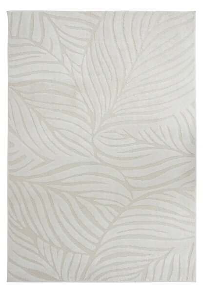 Килим atmosphera Anoai - 100x150 cm