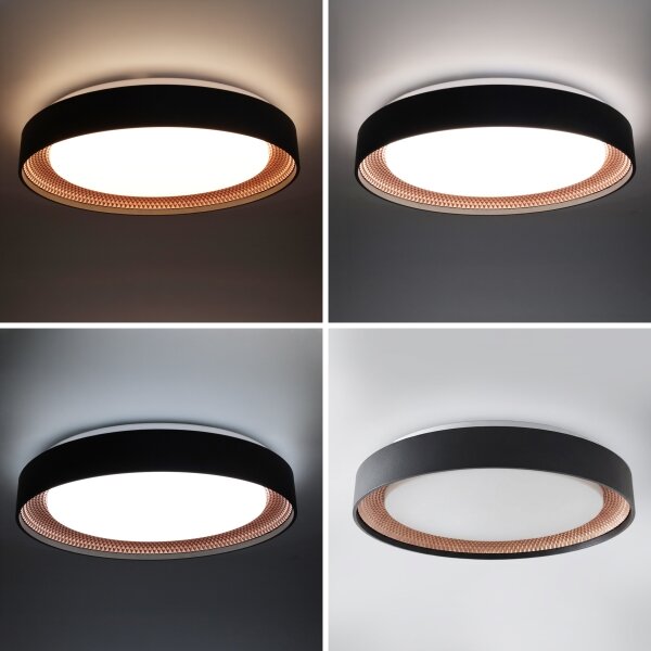 Brilagi - LED димируемо таванно осветително тяло WALDO LED/48W/230V Ø 40 см черно/златно+ДУ
