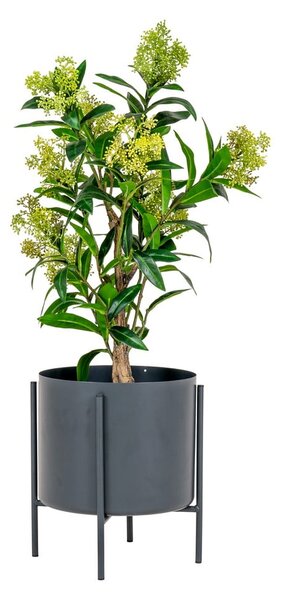 Изкуствено растение Skimmia - House Nordic