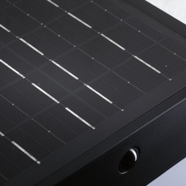 Paulmann LED стенна лампа „Lioren“ на Paulmann, 230 V + Solar, черна, 17 см, Черен, Пластмаса, Модерен
