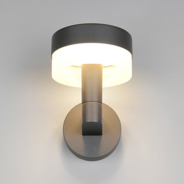 Trio Lighting LED лампа за външна стена Mackenzie, антрацит, алуминий под налягане, Сив, Алуминий, Модерен