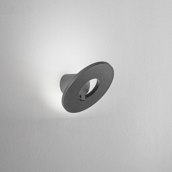 Fabas Luce LED лампа за външна стена Elite, тъмно сива, метал, Ø 24 cm, IP54, Черен, Алуминий, Модерен