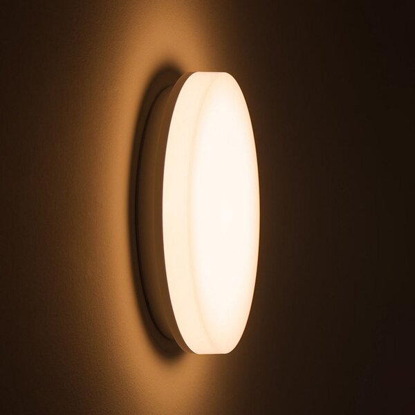 DOTLUX LED лампа за таван SURFACE, Ø 25 cm, бяла, PC, CCT, IP54, Бял, Баня, Пластмаса