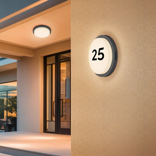 Trio Lighting LED външна стена Bermejo, кръгла, сензор, CCT, антрацит, Сив, Метал