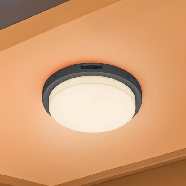 Trio Lighting LED външна стена Bermejo, кръгла, сензор, CCT, антрацит, Сив, Метал