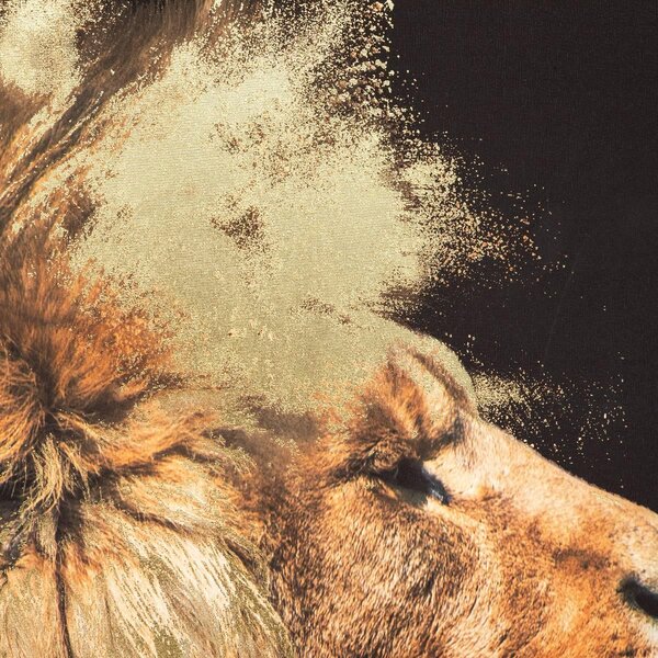 Картина atmosphera Lion, 60x90 cm