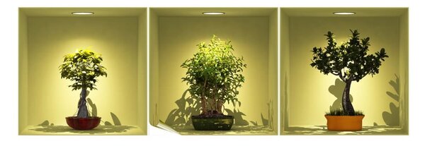 Комплект от 3 стикера с 3D ефект Bonsai Trees On Spot - Ambiance