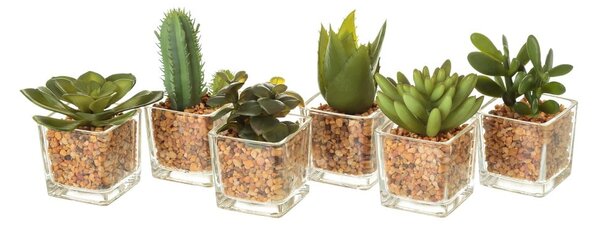 Изкуствени растения в комплект от 6 броя (височина 8 см) Cactus - Casa Selección