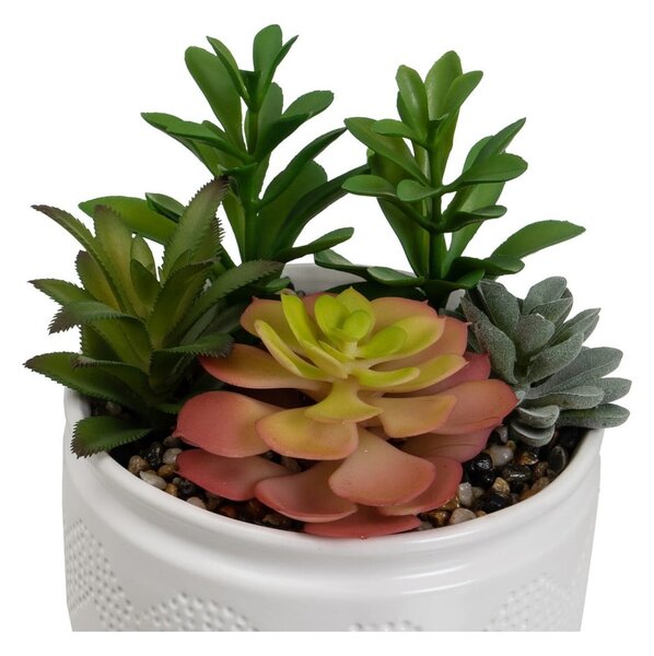 Изкуствени растения в комплект от 2 бр. (височина 19 cm) Cactus – Casa Selección