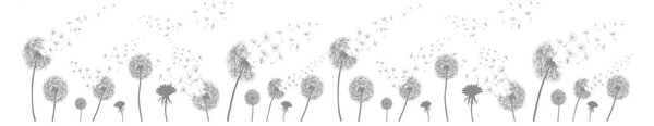 Стикер за прозорец 200x40 cm Dandelions - Ambiance