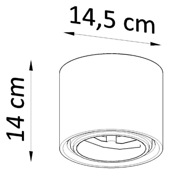 Бяло осветително тяло за таван ø 14,5 cm Roxa – Nice Lamps