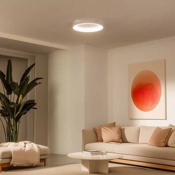 Brilagi -LED димируемо таванно осветително тяло FALCON SLIM LED/42W/230V Ø 50 см бяло +DO