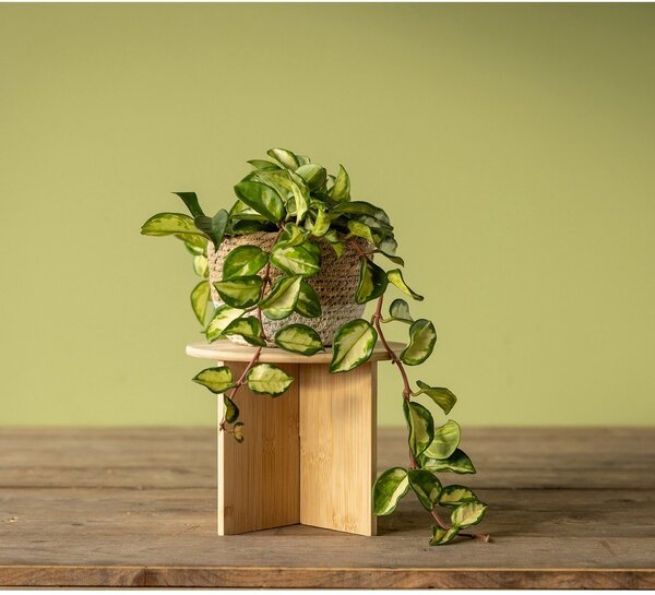 Бамбукова стойка за цветя ø 25 cm (височина 19,5 cm) – Esschert Design