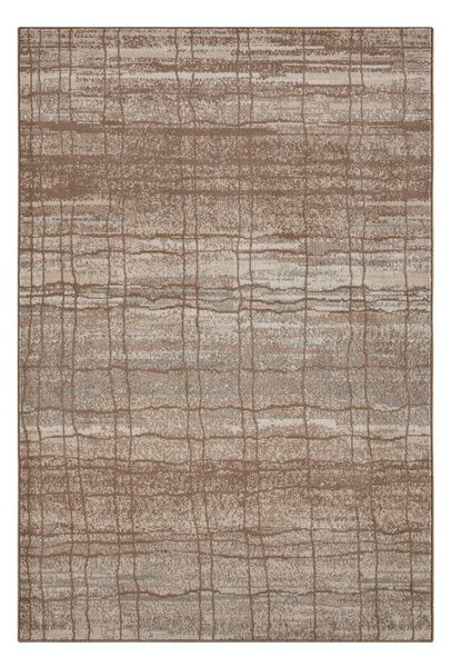 Кафяв/бежов килим 120x170 cm Terrain – Hanse Home