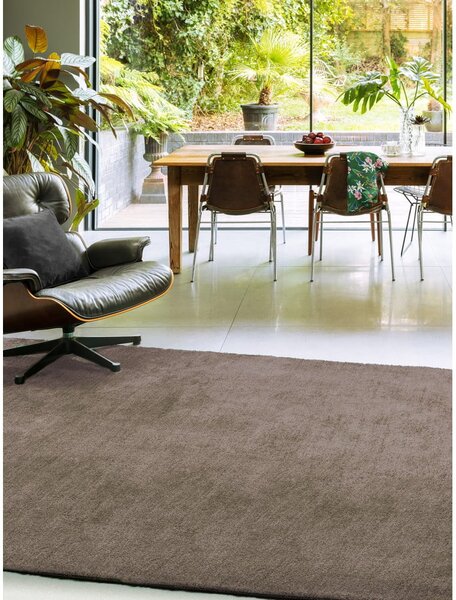 Кафяв килим 120x170 cm Milo – Asiatic Carpets